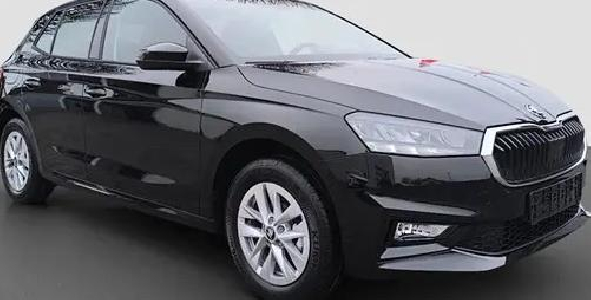 Fabia 1.0 Selection LED Klima Sitzheizung Kamera 